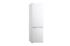 LG GBV3200CSW
