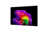 77" LG OLED77G64LW
