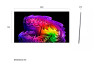 55" LG OLED55G64LW