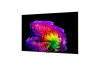 65" LG OLED65G64LW