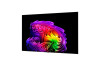 97" LG OLED97G64LW